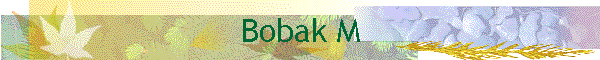 Bobak M